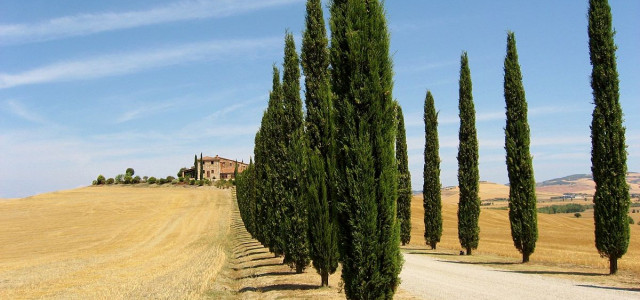 Paesaggio toscano in Val d’Orcia: San Quirico, Pienza e Montalcino tra eccellenze toscane e tipicità