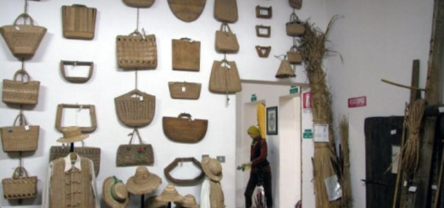 Ecomuseo della civiltà palustre