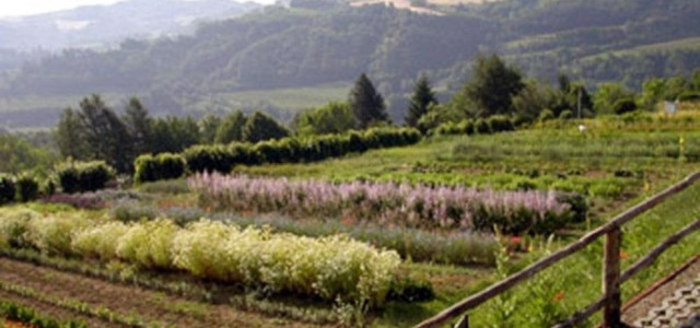 Giardino delle erbe "A. Rinaldi Ceroni"