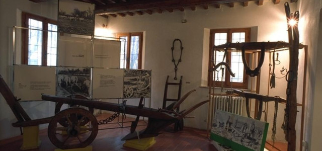 Museo della frutticoltura Adolfo Bonvicini