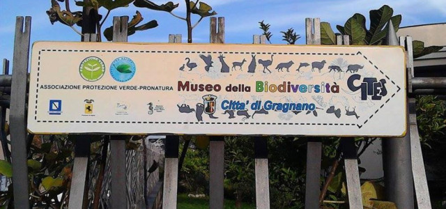 Museo della Biodiversità - CITES