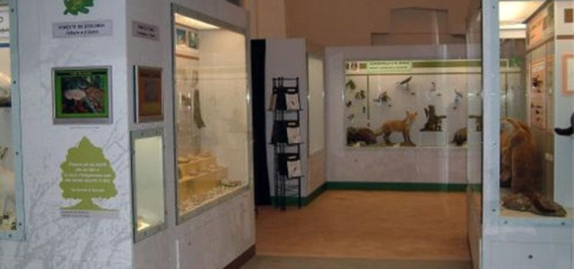Museo di ecologia