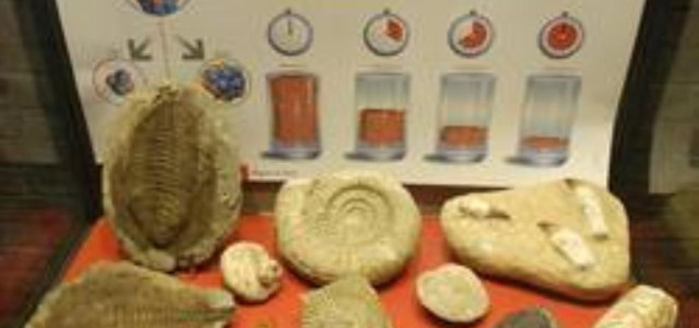 Museo dei fossili e minerali del monte Nerone