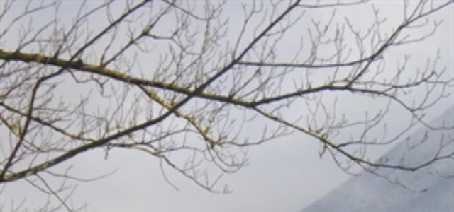 Centro espositivo permanente dell’artigianato artistico - Museo di Rocca Varano