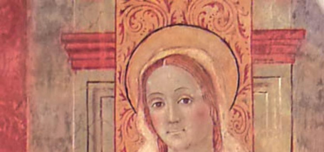 Museo civico Palazzo Forti