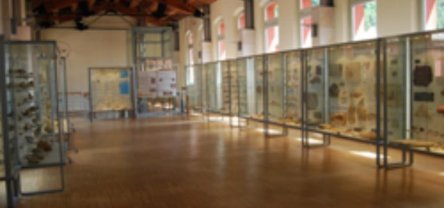 Museo dei funghi e dei fossili