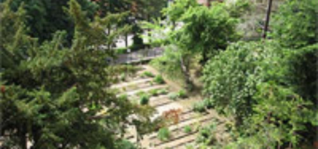 Orto botanico &quot;Carmela Cortini&quot;