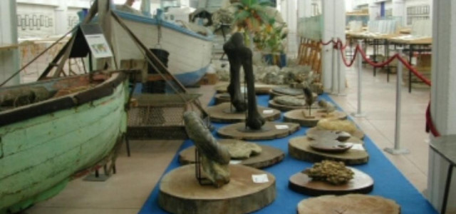 Museo malacologico piceno