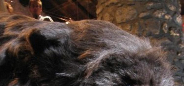 Parco culturale delle grotte di Equi e museo archeologico Cesare Ambrosi