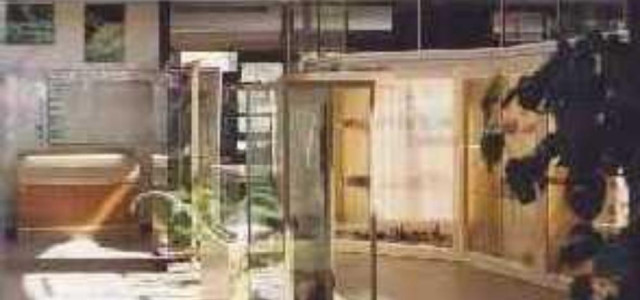 Museo civico di scienze naturali e archeologia della Valdinievole