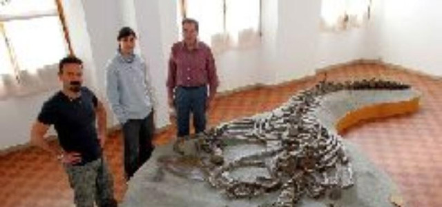 Museo paleontologico scienza della terra del Gamps