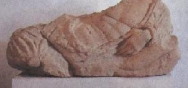 Museo Etrusco Gasparri