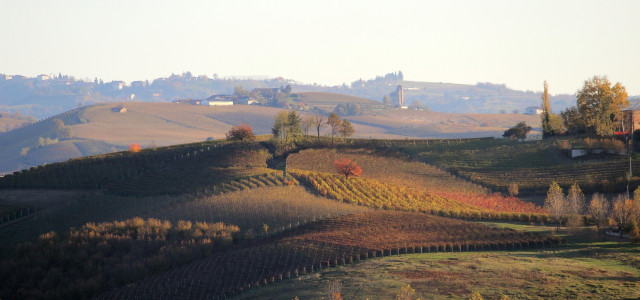 Tra i vitigni del Piemonte: Grinzane, Langhe, Roero e Monferrato