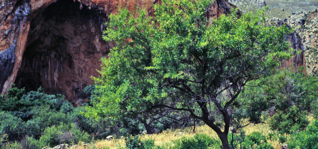 Grotta dell'Uzzo
