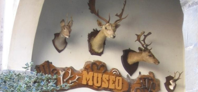 Museo del bosco e della montagna - Collezione ornitologica &quot;C. Beni&quot;