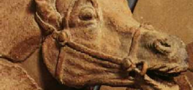 Mostra permanente frontone di Talamone