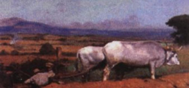 Museo della cultura contadina di Albinia