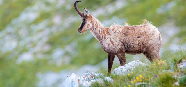 Vacanze avventura nel Parco Nazionale della Majella