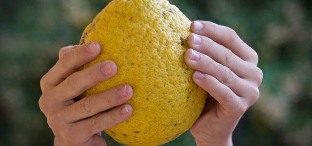 I benefici della Dieta Mediterranea, Patrimonio Unesco