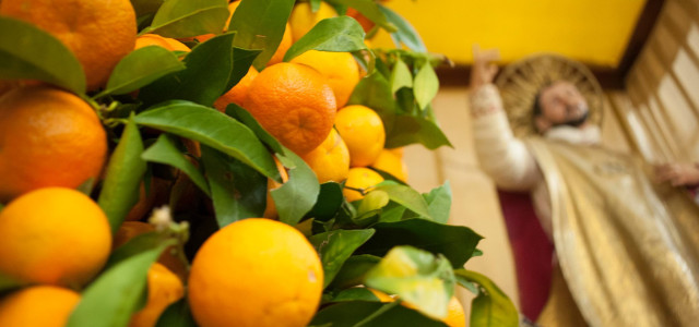 Il romantico borgo di Vico del Gargano, il paese dell'amore