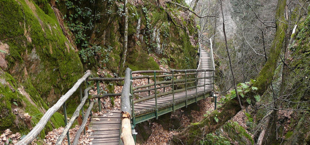 Gola Rastenbachklamm