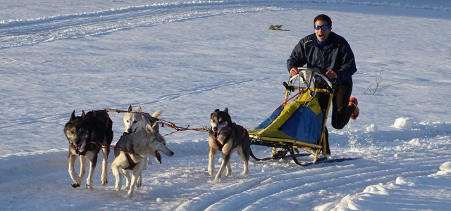 Escursioni nel Parco della Sila: ecco le attività da fare
