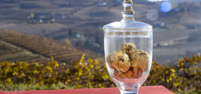 L’Alba del tartufo bianco