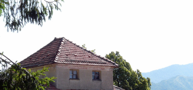 Museo Paleontologico di Crocefieschi