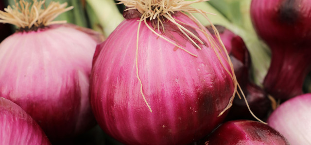 Tropea Cipolla Party 2019