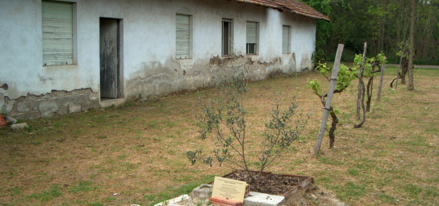 Museo di Ferramonti (Campo di Internamento)