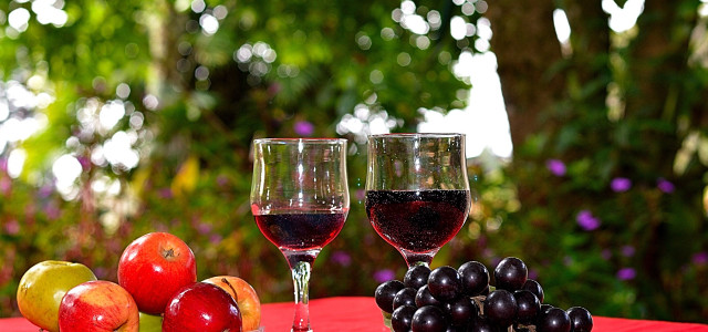 Wine and Travel Italy per la prima volta in Calabria