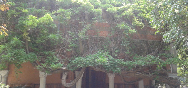 Museo e Biblioteca Clarence Bicknell