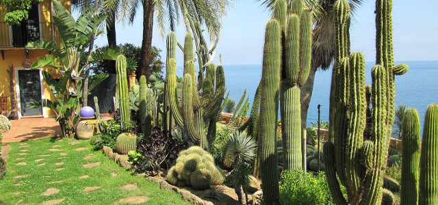 Giardino Esotico Pallanca