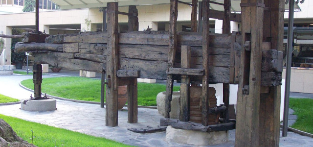 Museo dell'olivo