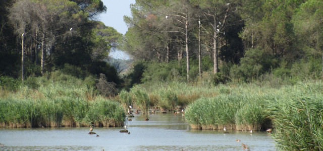 Parco Regionale del Delta del Po dell’Emilia-Romagna