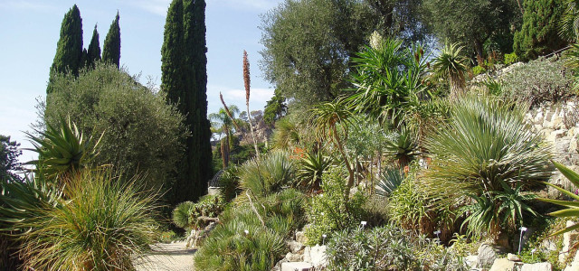 Giardini botanici Hanbury - Centro universitario di servizi