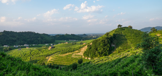 Le Colline del Prosecco elette Patrimonio dell’Umanità