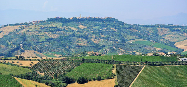 Viaggio a Città Sant’Angelo, città dell’olio e del vino