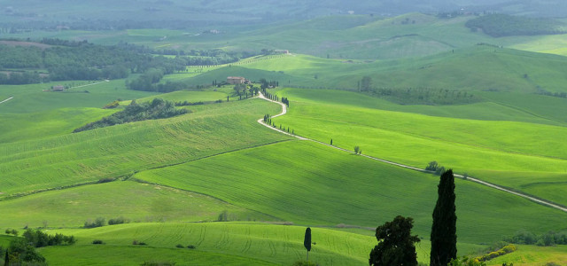 Sulle colline senesi: tra storia e cultura