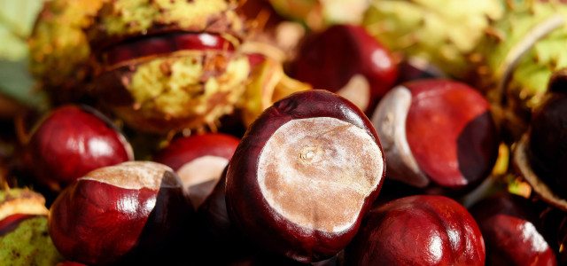 A Vallerano arte, cultura e gastronomia per celebrare la castagna