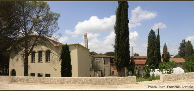 Galleria di storia naturale dell'Università degli Studi di Perugia