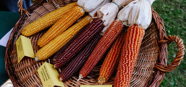 Marché au Fort, la festa dell’enogastronomia valdostana
