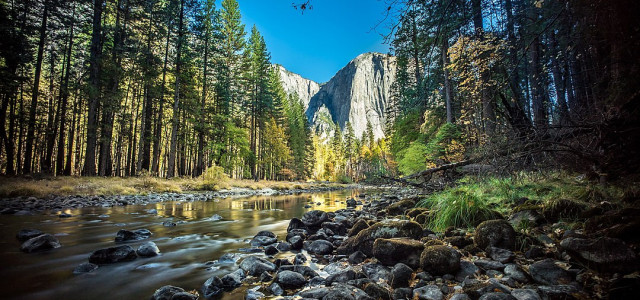 The wonders of Yosemite National Park