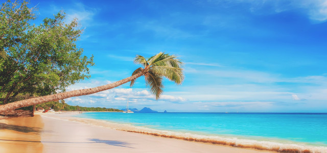 Make an Escape from Christmas and New Year’s to the heat: from the Trop-ics to the Caribbean