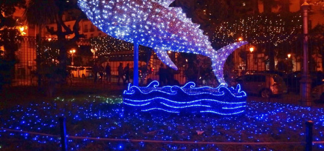 Luci d'Artista: l'abito natalizio della città di Salerno
