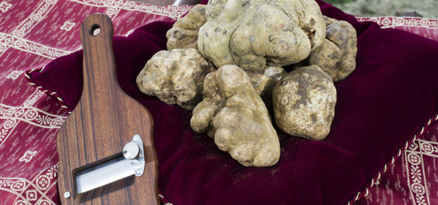 Nel borgo di San Miniato: Tartufo Bianco e tradizioni