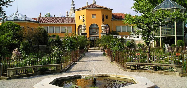 Visita all'Orto Botanico di Padova, il più antico del mondo