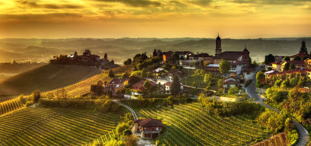 Tour delle Langhe: weekend tra vini e castelli
