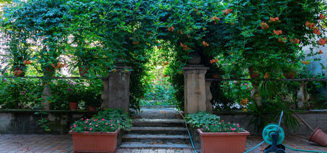 Interno Verde 2020: Mantova apre i suoi giardini