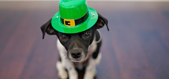 San Patrizio ai tempi del Coronavirus: la festa è social